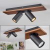 Dalan Plafonnier, Spot de plafond LED Écru, Noir, 2 lumières