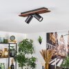 Dalan Plafonnier, Spot de plafond LED Écru, Noir, 2 lumières