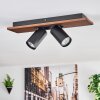 Dalan Plafonnier, Spot de plafond LED Écru, Noir, 2 lumières
