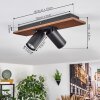 Dalan Plafonnier, Spot de plafond LED Écru, Noir, 2 lumières