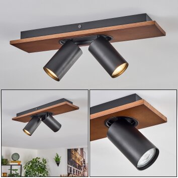 Dalan Plafonnier, Spot de plafond LED Écru, Noir, 2 lumières