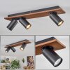 Dalan Plafonnier, Spot de plafond LED Écru, Noir, 3 lumières