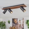 Dalan Plafonnier, Spot de plafond LED Écru, Noir, 3 lumières