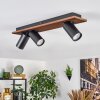 Dalan Plafonnier, Spot de plafond LED Écru, Noir, 3 lumières