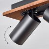 Dalan Plafonnier, Spot de plafond LED Écru, Noir, 3 lumières