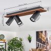 Dalan Plafonnier, Spot de plafond LED Écru, Noir, 3 lumières