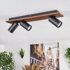 Dalan Plafonnier, Spot de plafond LED Écru, Noir, 3 lumières