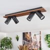Dalan Plafonnier, Spot de plafond LED Écru, Noir, 4 lumières