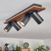 Dalan Plafonnier, Spot de plafond LED Écru, Noir, 4 lumières