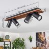 Dalan Plafonnier, Spot de plafond LED Écru, Noir, 4 lumières