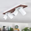 Dalan Plafonnier, Spot de plafond LED Écru, Blanc, 4 lumières