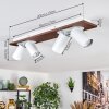 Dalan Plafonnier, Spot de plafond LED Écru, Blanc, 4 lumières