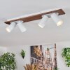 Dalan Plafonnier, Spot de plafond LED Écru, Blanc, 4 lumières