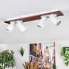 Dalan Plafonnier, Spot de plafond LED Écru, Blanc, 4 lumières