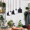 Bassagoda Suspension, Suspension Écru, Noir, 5 lumières