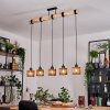 Cando Suspension, Suspension Écru, Noir, 5 lumières