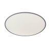 Plafonnier Wofi LINOX LED Argenté, 1 lumière, Télécommandes