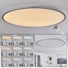 Plafonnier Champa LED Argenté, 1 lumière, Télécommandes