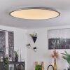 Plafonnier Champa LED Argenté, 1 lumière, Télécommandes