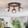Chehalis Plafonnier, Boule lumineuse Clair, Fumé, 3 lumières