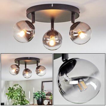 Chehalis Plafonnier, Boule lumineuse Clair, Fumé, 3 lumières