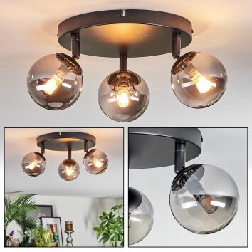 Chehalis Plafonnier, Boule lumineuse Fumé, 3 lumières