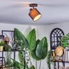 Bassagoda Plafonnier, Spot de plafond Noir, 1 lumière
