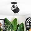 Bassagoda Plafonnier, Spot de plafond Noir, 1 lumière