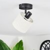 Bassagoda Plafonnier, Spot de plafond Noir, 1 lumière
