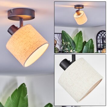 Bassagoda Plafonnier, Spot de plafond Noir, 1 lumière