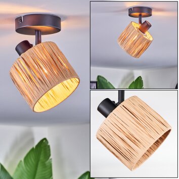 Granja Plafonnier, Spot de plafond Noir, 1 lumière