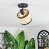 Chellas Plafonnier, Spot de plafond Noir, 1 lumière