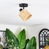 Cavaca Plafonnier, Spot de plafond Noir, 1 lumière