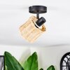 Cavaca Plafonnier, Spot de plafond Noir, 1 lumière