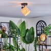 Cavaca Plafonnier, Spot de plafond Noir, 1 lumière