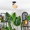 Cavaca Plafonnier, Spot de plafond Noir, 1 lumière