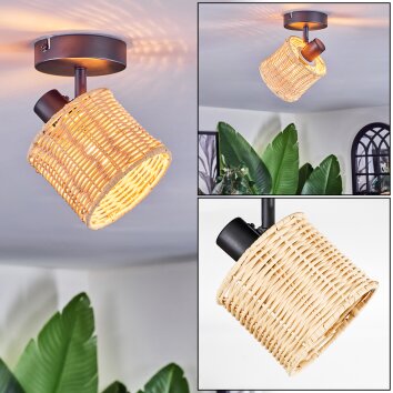 Cavaca Plafonnier, Spot de plafond Noir, 1 lumière