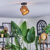 Cando Plafonnier, Spot de plafond Noir, 1 lumière