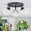 Chehalis Plafonnier, Boule lumineuse Blanc, 3 lumières