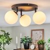Chehalis Plafonnier, Boule lumineuse Blanc, 3 lumières