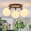 Chehalis Plafonnier, Boule lumineuse Blanc, 3 lumières