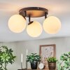 Chehalis Plafonnier, Boule lumineuse Blanc, 3 lumières