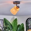 Lindberg Plafonnier, Spot de plafond Noir, 1 lumière