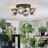 Chehalis Plafonnier, Boule lumineuse Clair, Fumé, 4 lumières