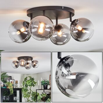 Chehalis Plafonnier, Boule lumineuse Clair, Fumé, 4 lumières
