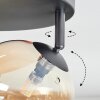 Chehalis Plafonnier, Boule lumineuse Ambre, 4 lumières