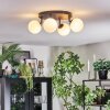 Chehalis Plafonnier, Boule lumineuse Blanc, 4 lumières
