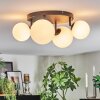 Chehalis Plafonnier, Boule lumineuse Blanc, 4 lumières