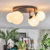 Chehalis Plafonnier, Boule lumineuse Blanc, 4 lumières