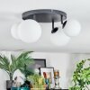 Chehalis Plafonnier, Boule lumineuse Blanc, 4 lumières